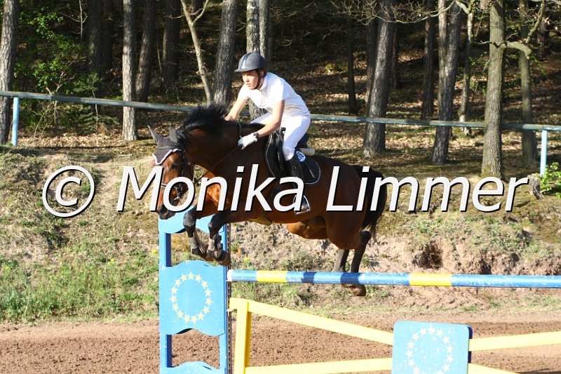 204M8868_Upper Class_Punkte M.JPG